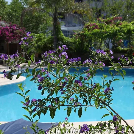 Hotel Alila