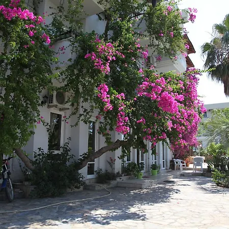 Alila Кейджегиз