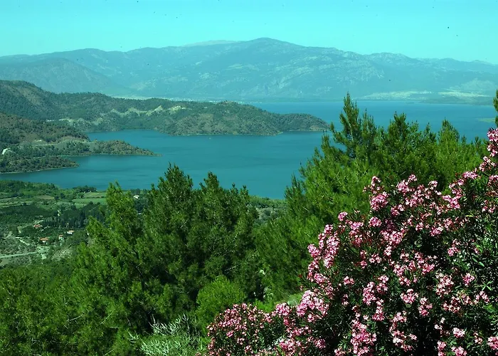 Alila Ξενοδοχείο