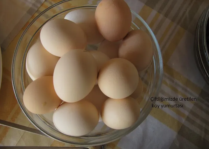 Alila Ξενοδοχείο Koycegiz (Mugla)