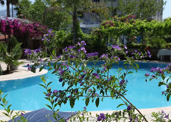 Ξενοδοχείο Alila